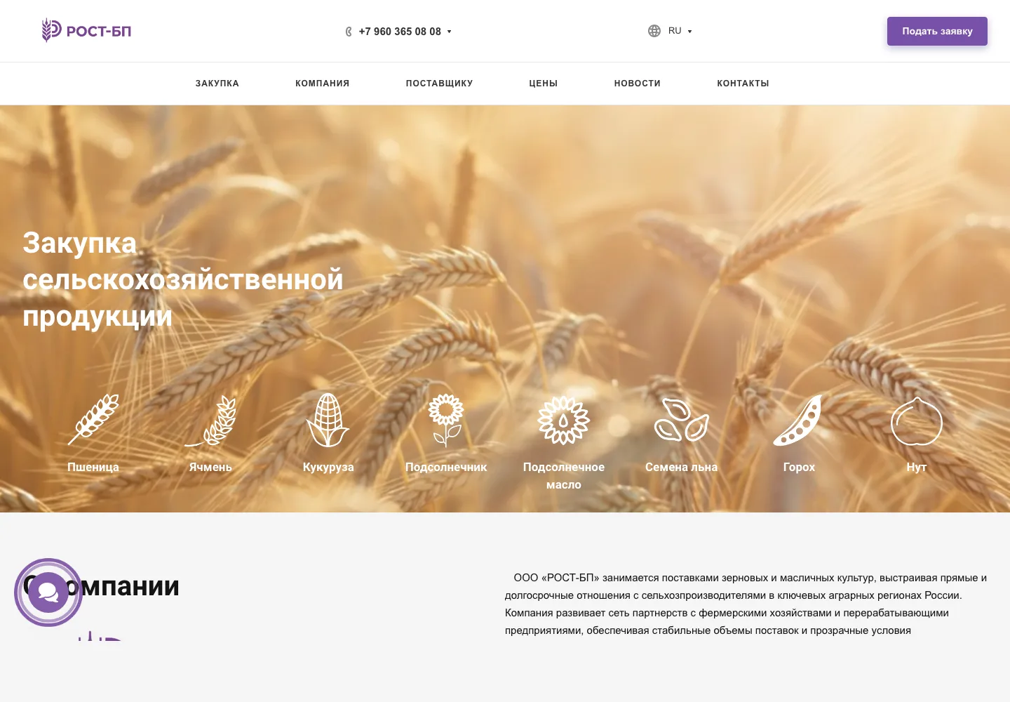 Главный экран проекта Рост Бизнес Проект