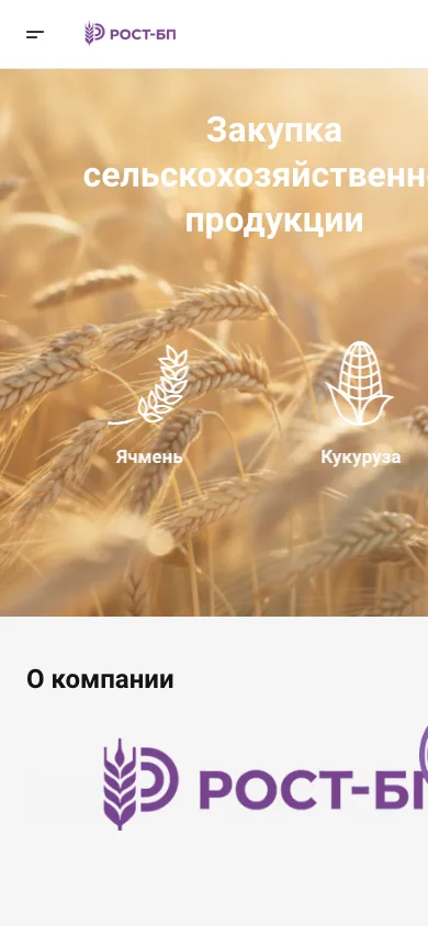 Дополнительный экран проекта Рост Бизнес Проект