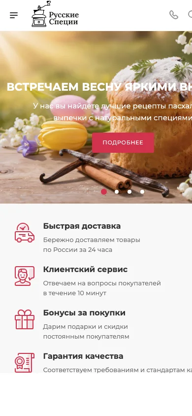 Дополнительный экран проекта RUS-SPICE